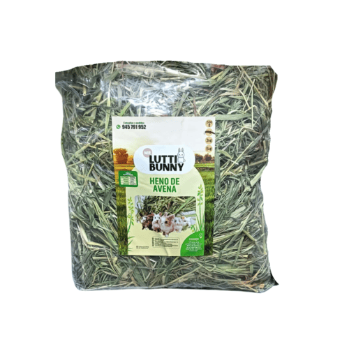 MR LUTTY HENO AVENA 1 KG