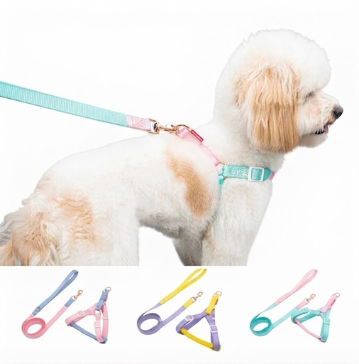 ARNES COLOR PASTEL 2*120 CM - DN2200175 